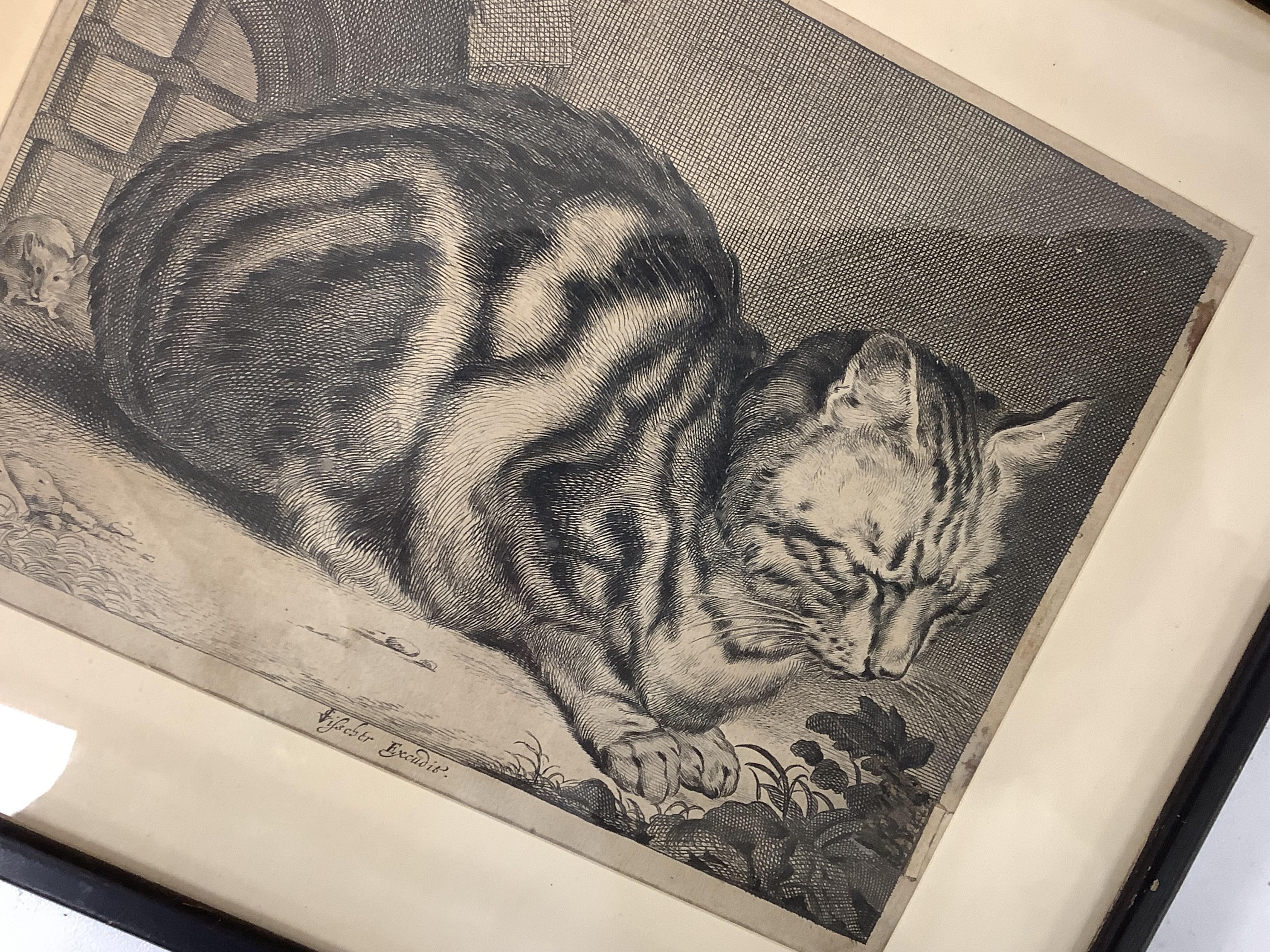After Cornelis Visscher (Dutch, 1629-1658), 'The Large Cat', signed in the plate, engraving, 14.5 x 18.5cm